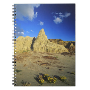 Badlands-formaties bij Dinosaur Provincial Park 7 Notitieboek