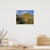 Badlands formaties in het provinciepark Dinosaur Poster (Keuken)