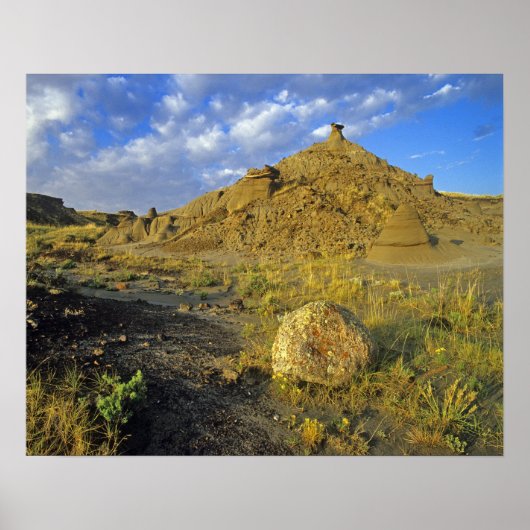 Badlands formaties in het provinciepark Dinosaur Poster (Voorkant)