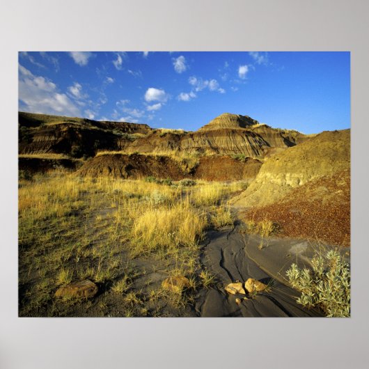 Badlands in Dinosaur Provincial Park in Alberta, Poster (Voorkant)