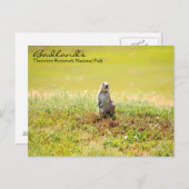 Badlands of North Dakota Briefkaart (Voorkant / Achterkant)