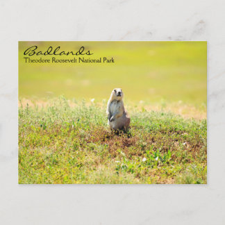 Badlands of North Dakota Briefkaart