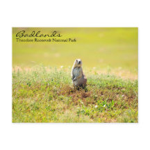 Badlands of North Dakota Briefkaart