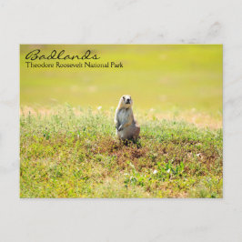 Badlands of North Dakota Briefkaart