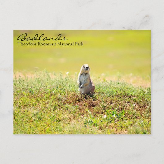 Badlands of North Dakota Briefkaart (Voorkant)