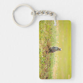 Badlands of North Dakota-Sleutelhanger Sleutelhanger