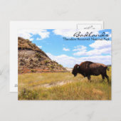 Badlands van North Dakota Briefkaart (Voorkant / Achterkant)