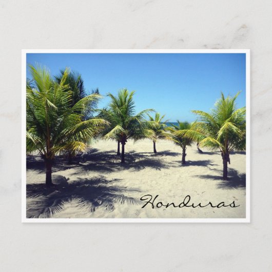 badpalm briefkaart (Voorkant)