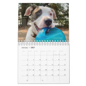 BADRAP Rescue Barn 2021-agenda Kalender (Jan 2027)