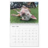 BADRAP Rescue Barn 2021-agenda Kalender (Mar 2027)