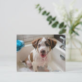 Badtijd Puppy in Sink Briefkaart (Staand voorkant)