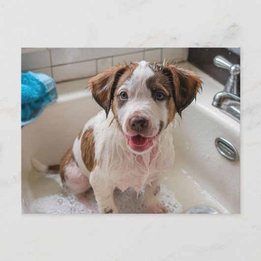Badtijd Puppy in Sink Briefkaart (Voorkant)