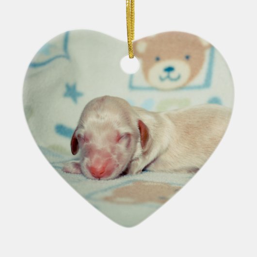 Bae Newborn-Lovebugdoxies puppy keepomwille Keramisch Ornament (Voorkant)