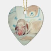 Bae Newborn-Lovebugdoxies puppy keepomwille Keramisch Ornament (Links)