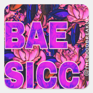 Bae Sicc Vierkante Sticker