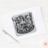 Bael Square Stickers (Envelop)