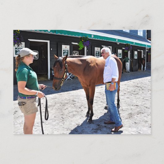 Baffert Checking under the Hood Briefkaart (Voorkant)