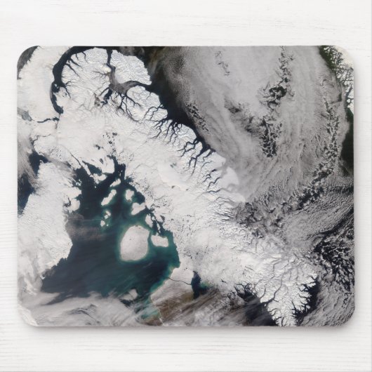 Baffin Muismat (Voorkant)