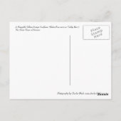 Bagable Sunflower Briefkaart (Achterkant)