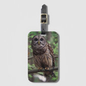 Bagage label van de Gestreepte Bosuil (Voorkant (verticaal))