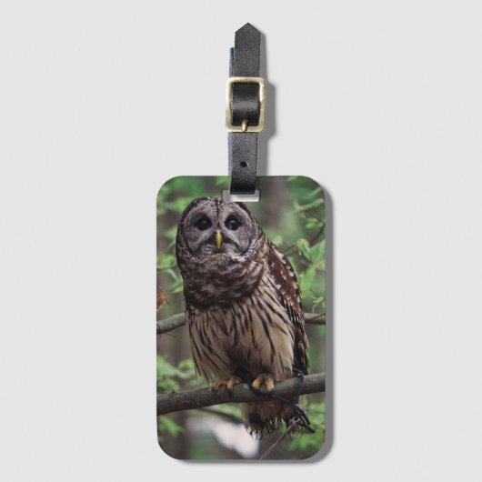 Bagage label van de Gestreepte Bosuil (Voorkant (verticaal))