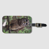 Bagage label van de Gestreepte Bosuil (Voorkant (horizontaal))