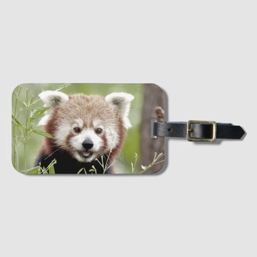 Bagage panda 3. bagagelabel (Voorkant (horizontaal))