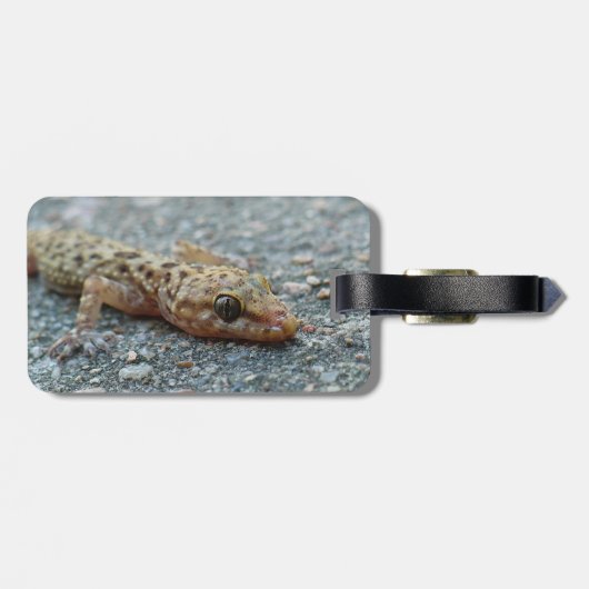 Bagagelabel (Achterkant horizontaal)