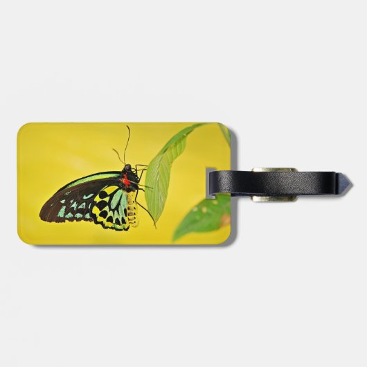 Bagagelabel (Achterkant horizontaal)