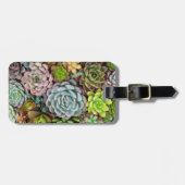 Bagagelabel Aangepaste tekstcactus Succulents (Voorkant horizontaal)