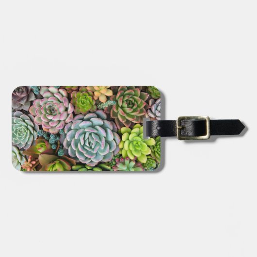 Bagagelabel Aangepaste tekstcactus Succulents (Voorkant horizontaal)