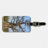 Bagagelabel Baobab Tree (Voorkant horizontaal)