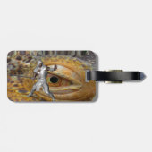 Bagagelabel Drakenlaag (Achterkant horizontaal)