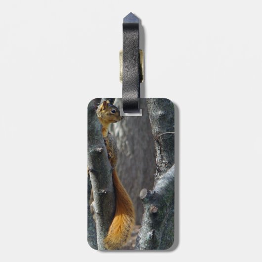Bagagelabel eekhoorn (Achterkant verticaal)