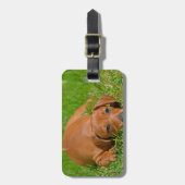 bagagelabel - Gepersonaliseerd (Voorkant verticaal)