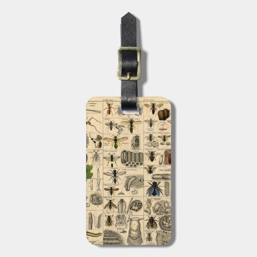  Bagagelabel Insect Chart (Voorkant verticaal)