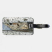 bagagelabel met foto van grijze wolf in berkenbome (Achterkant horizontaal)