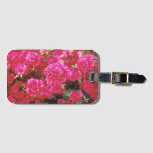 Bagagelabel met Kaart Tussenvoegsel en Roze bloese (Voorkant (horizontaal))