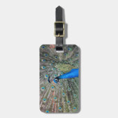 Bagagelabel met leren riem met pauw (Voorkant verticaal)