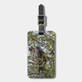 Bagagelabel met rode staartvleugel (Voorkant verticaal)
