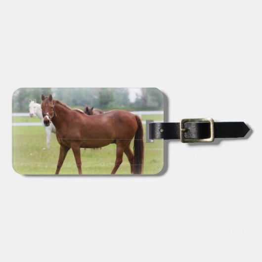 Bagagelabel/paarden Bagagelabel (Voorkant horizontaal)