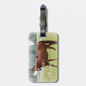 Bagagelabel/paarden Bagagelabel (Achterkant verticaal)