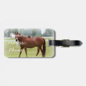 Bagagelabel/paarden Bagagelabel (Achterkant horizontaal)