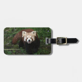 Bagagelabel - rode panda (Voorkant horizontaal)