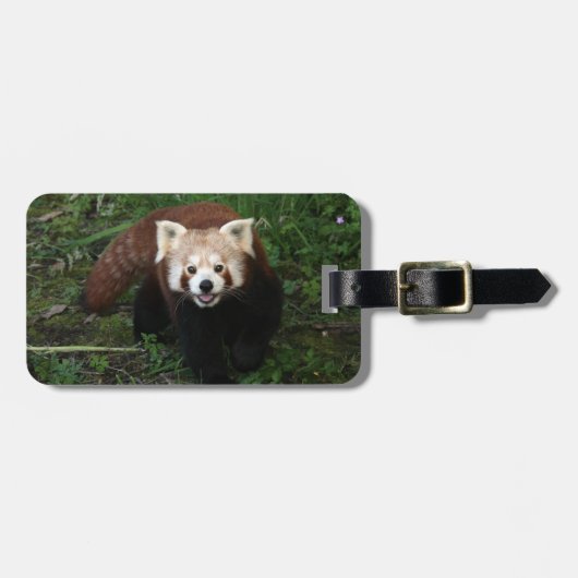 Bagagelabel - rode panda (Voorkant horizontaal)