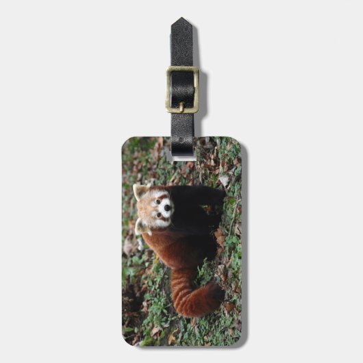 Bagagelabel - rode panda 3 (Voorkant verticaal)