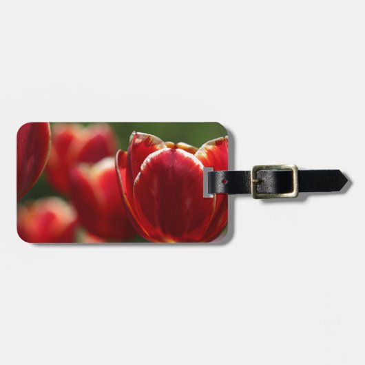 bagagelabel rode tulp (Voorkant horizontaal)