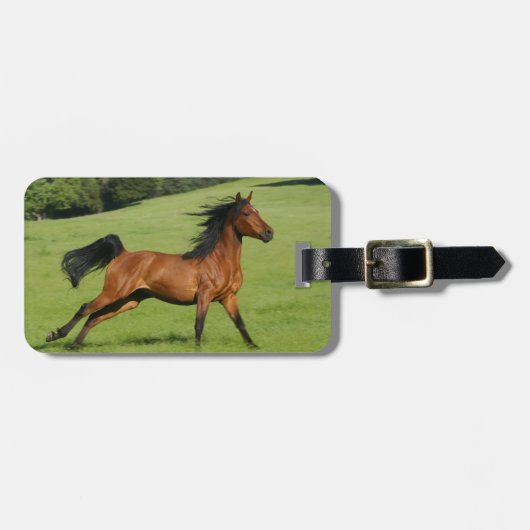 Bagagelabel van Arabieren met paarden (Voorkant horizontaal)