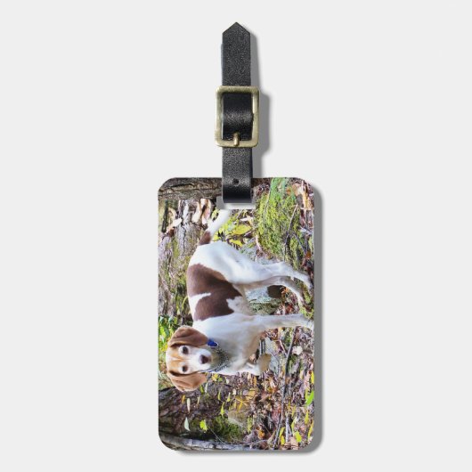 Bagagelabel van Beagle (Voorkant verticaal)