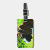 Bagagelabel van de Boxer-hond (Voorkant verticaal)
